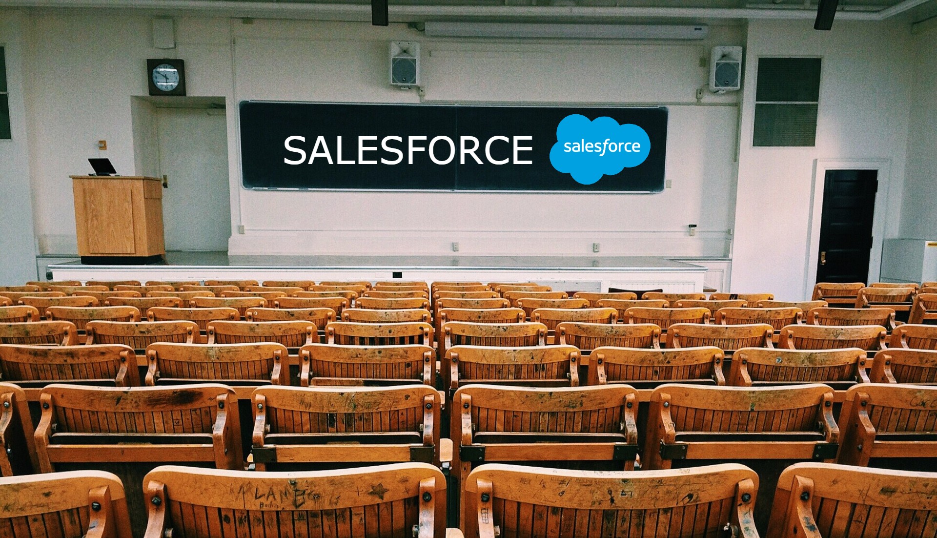 Salesforce Consultant