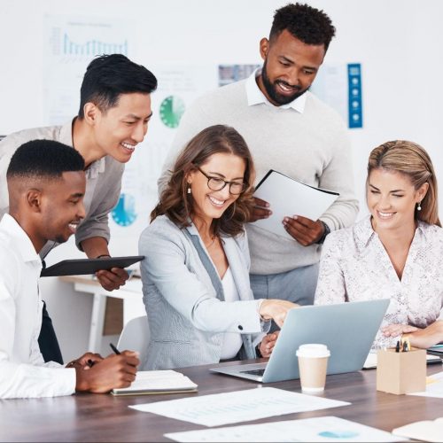 Dynamics 365 CRM Customization Services